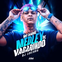 Medley de Vagabundo - Single - MC Danone & DJ Lukinha