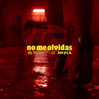Lex & L.A (No Me Olvidas) - Single - Lex & L.A