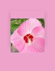 Posłuchaj wykonawcy baderman, obejrzyj teledyski, przeczytaj biografię, zobacz daty tras koncertowych i nie tylko!