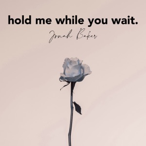 Hold Me While You Wait (Acoustic) - Single