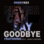 Never Can Say Goodbye (feat. Oun-P, J-Quest & Song Bird) - Single
