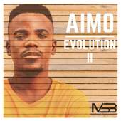 Evolution II - Aimo