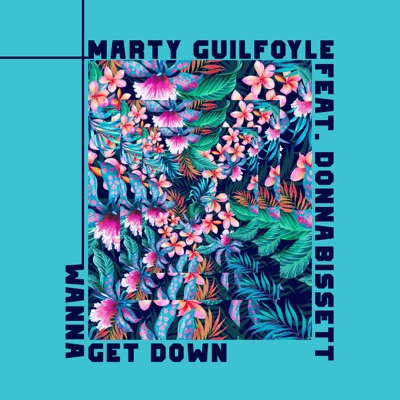 Wanna Get Down (VIP Remix) [feat. Donna Bissett] - Single