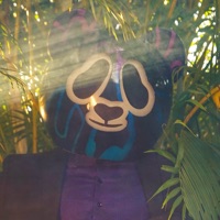 Night Panda