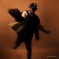 Nouvel Humain II - Flaco Mundo