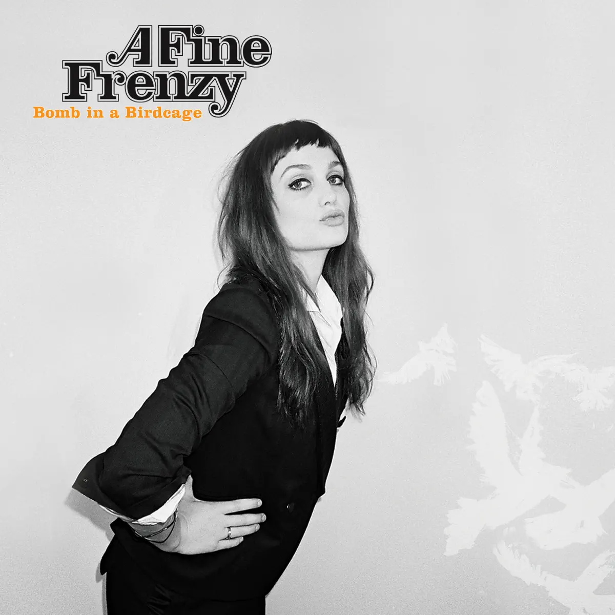 A Fine Frenzy - Bomb In a Birdcage (Bonus Track Version) (2009) [iTunes Plus AAC M4A]-新房子