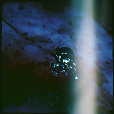 Liars&Comedians - Single