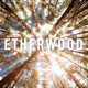 ETHERWOOD cover art