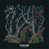 Spanish Moss cover art