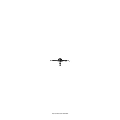 Free Fall - Single