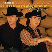 Coração Sertanejo