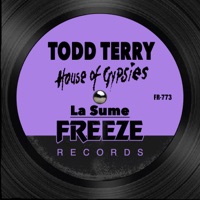 La Sume - Single - Todd Terry & House of Gypsies