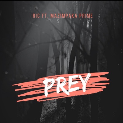Prey (feat. Mazimpaka Prime) - Single
