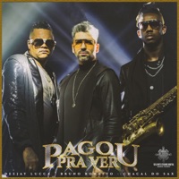 Pagou pra Ver - Single - Deejay Lucca, Bruno Bonatto & Chacal do Sax