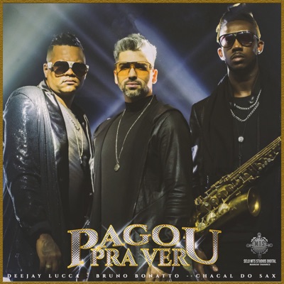 Pagou pra Ver - Single