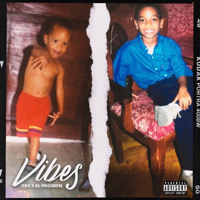 Vibes (feat. El Regimen) - Single