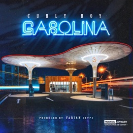 Gasolina Curly Boy