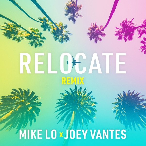 Relocate (feat. Joey Vantes) [Remix] [Remix]