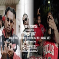 Street N***a (feat. Blood Brothaz & Prince Bopp) - Single - Dweeb