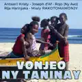 Vonjeo ny taninay