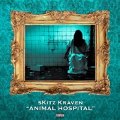 Animal Hospital artwork