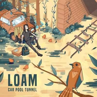Car Pool Tunnel - Single