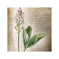 Easy - Single - Fona & Styn