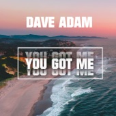 Dave Adam - You Got Me