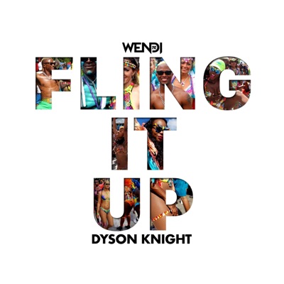 Fling It Up - Single