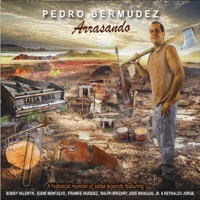 Pedro Bermudez - Acere Guaribombó (feat. José Mangual Jr & Ralph Irrizary)