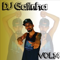 DJ Galinha Vol 14 (Album) [feat. Camylla, Taty das Gulosas & Mc Vitinho] - Dj Galinha & Vários Intérpretes