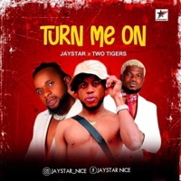 Turn me on (feat. Two Tigers) - Single - Jay Star