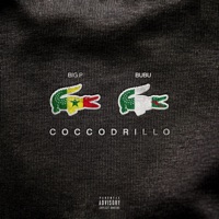 COCCODRILLO - Single - BIG P & Bubu Doc