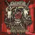 Violent Revolution