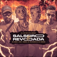 Salseiro e Revoada - Single - MC Meno K, Ricky Ribeiro, Mc Gimenes & MC Pelourinho