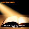 Se Que Estas Llorando por Mi - Single