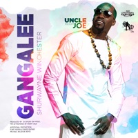 Gangalee - Single - Shurwayne Winchester