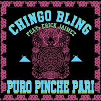 Puro Pinche Pari - Single - Chingo Bling