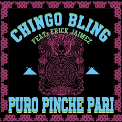 Puro Pinche Pari - Single