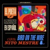 Bird on the Wire (feat. Nito Mestre) - Single