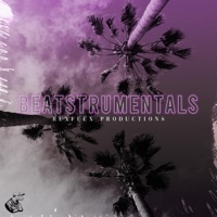 BeatStrumentals - RexFlex