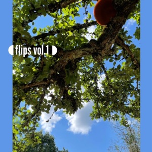 flips vol.1 - EP