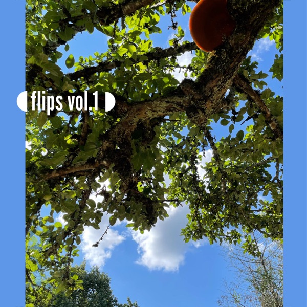 flips vol.1 - EP
