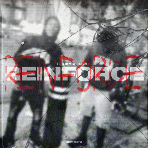 ReInforce (feat. Tricky) - Single - Toolie