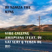 Vibe Calling Amapiano (feat. DJ Vai Seri & Tebza De DJ) artwork