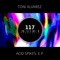 Rave Plur (D.A.V.E. The Drummer Remix) - Toni Alvarez lyrics