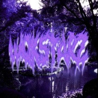 Wokstarz (feat. dreamworldtony & paccmane) - Single - Lilvicbxi