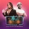 Amor Calado - Single