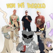 Non mi regolo (feat. Gemitaiz & Il Tre) artwork