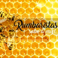Sabe a Miel - Single - Rumbaristas